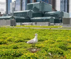 Javits Center